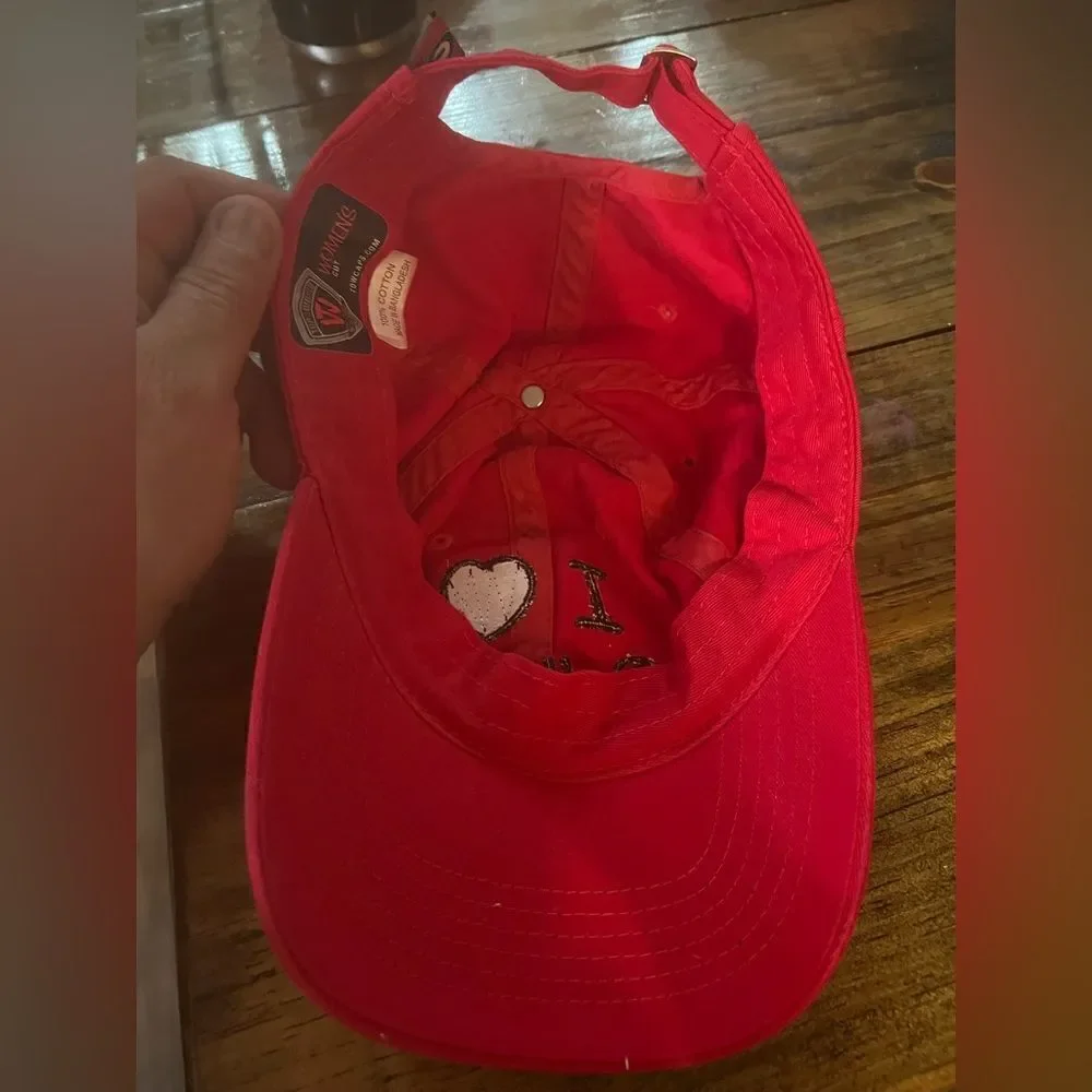 I Love Georgia Bulldogs Top Of The World Cap